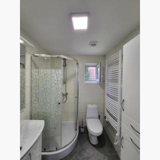 instagram-feed