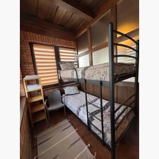 instagram-feed